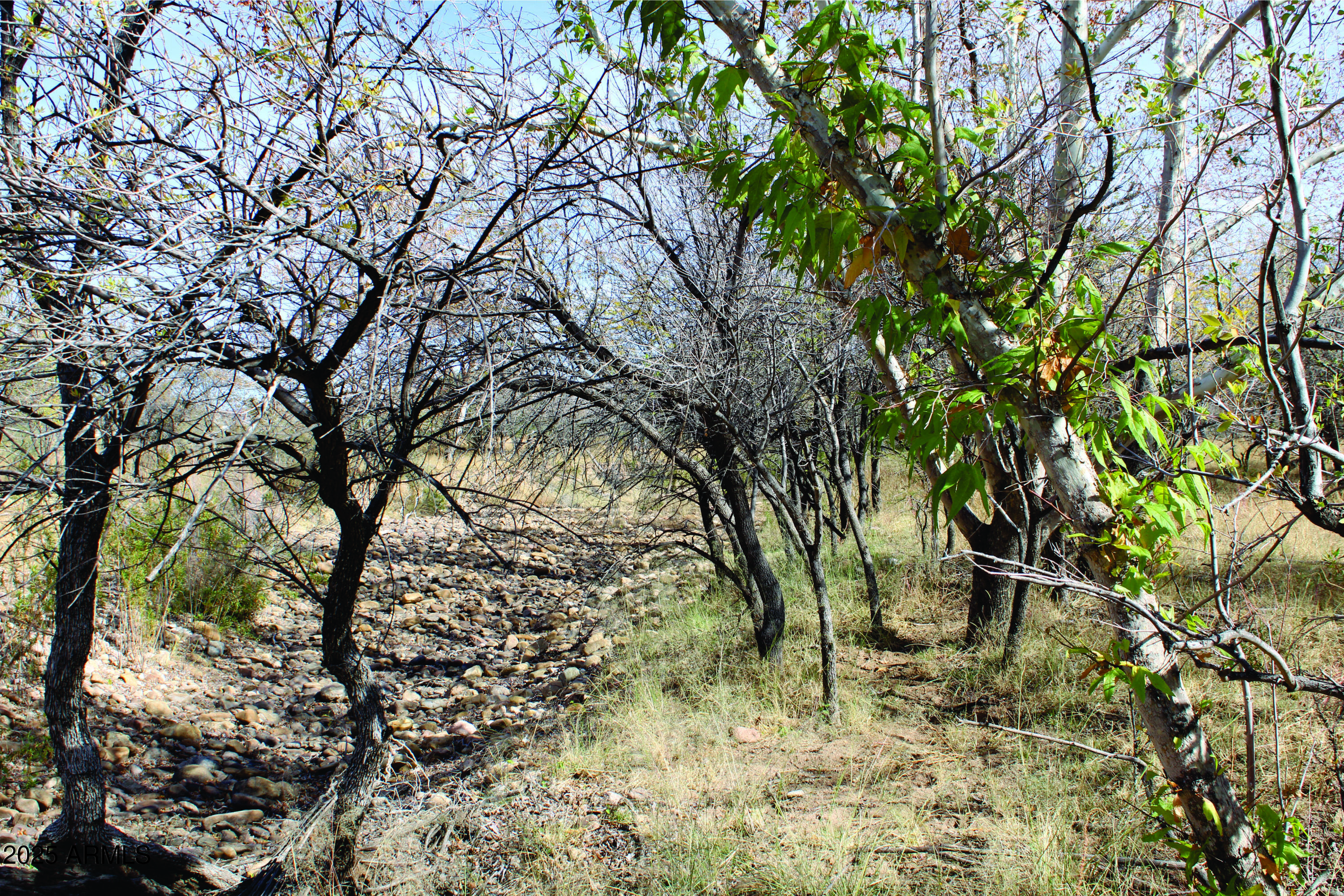 10-acres East Roadrunner Road Pearce, AZ 85625 - Photo 2 of 37 IMG_0814.JPG