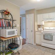 4400 Damas Road Knoxville, TN 37921 - Photo 5 of 25 Lots of Natural Light