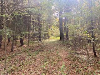 0 Sand Street Constable, NY 12926 - Photo 1 of 5 demers 2