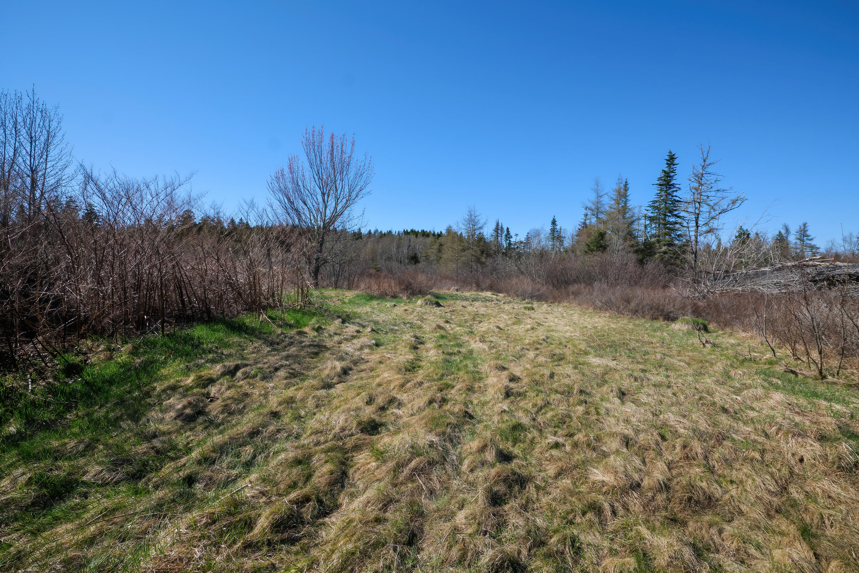 1082 Cutler Road Whiting, ME 04691 - Photo 35 of 36 44-1082 Cutler Road HiRes-DTP