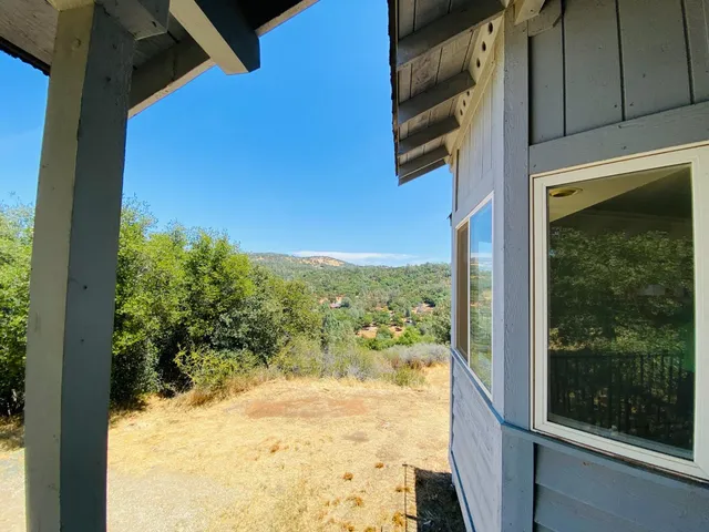 a view of a yard from a window