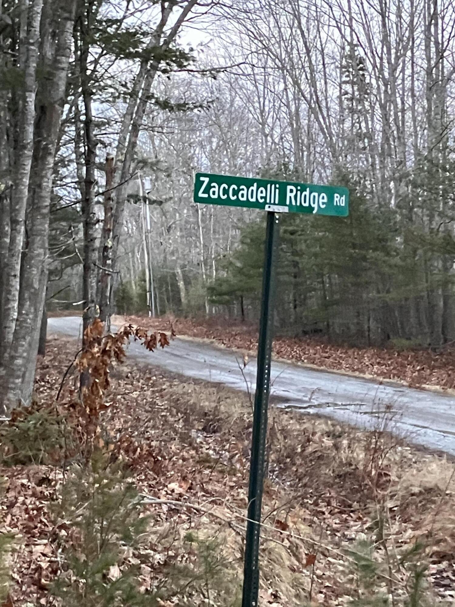 10 Zaccadelli Ridge Road Bristol, ME 04539 - Photo 10 of 11 IMG_2192