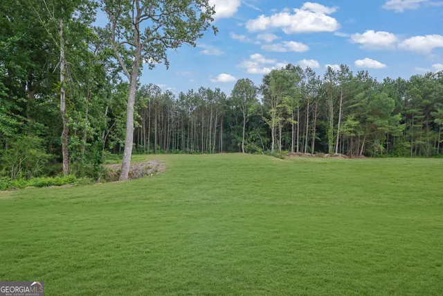 $1,300,000 | 3893 Indian Shoals Road Southeast, Bethlehem, GA 30620