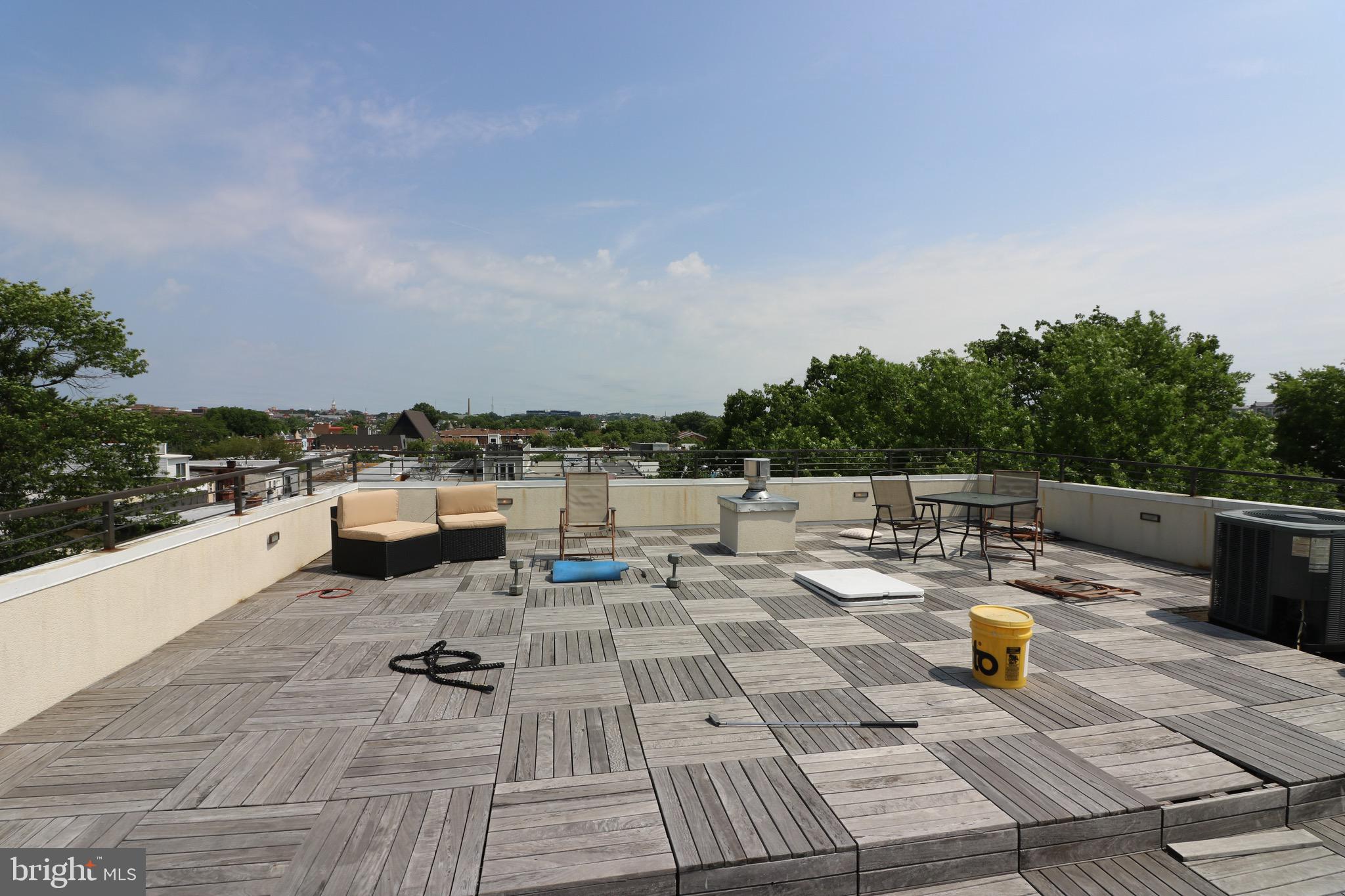 220 P Street Northwest, Unit 4 Washington, DC 20001 - Photo 30 of 44 Shared Rooftop