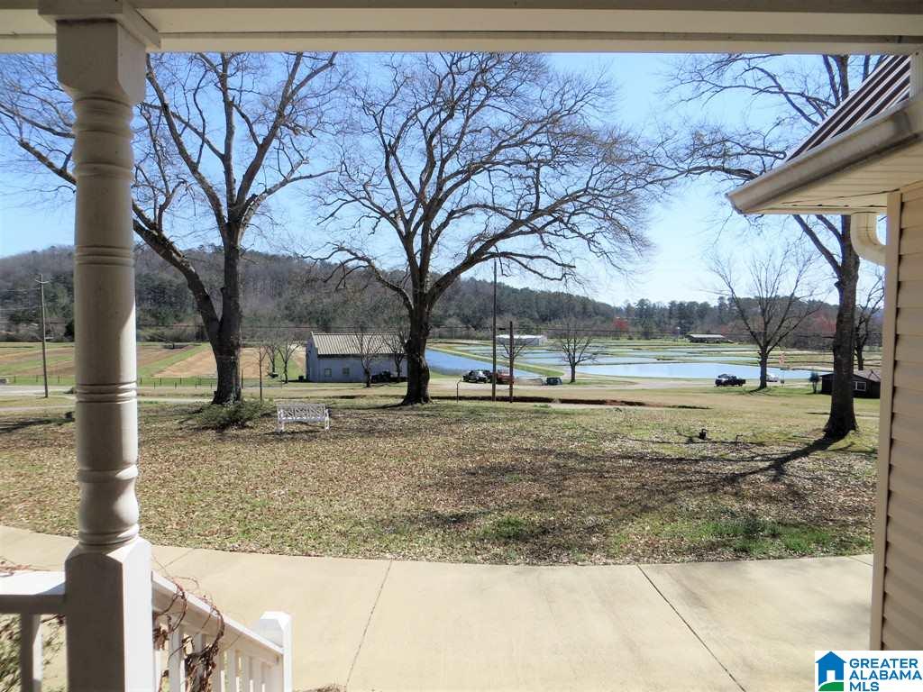 1899 Fish Hatchery Road Eastaboga, AL 36260 - Photo 40 of 43