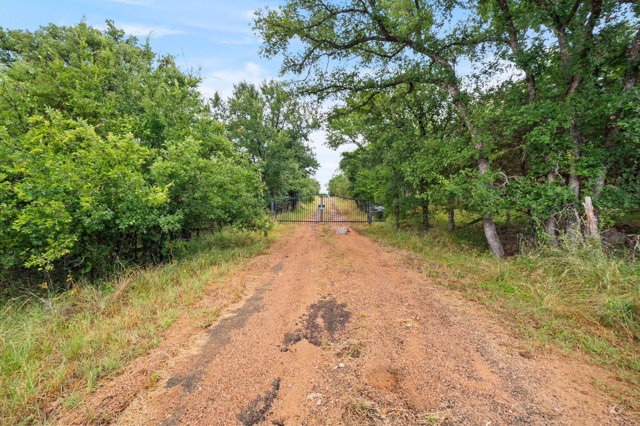 0 Ranch Road 2241 Road Tow, TX 78672 - Photo 5 of 10 A private gated entry road leads through a lush, verdant landscape.