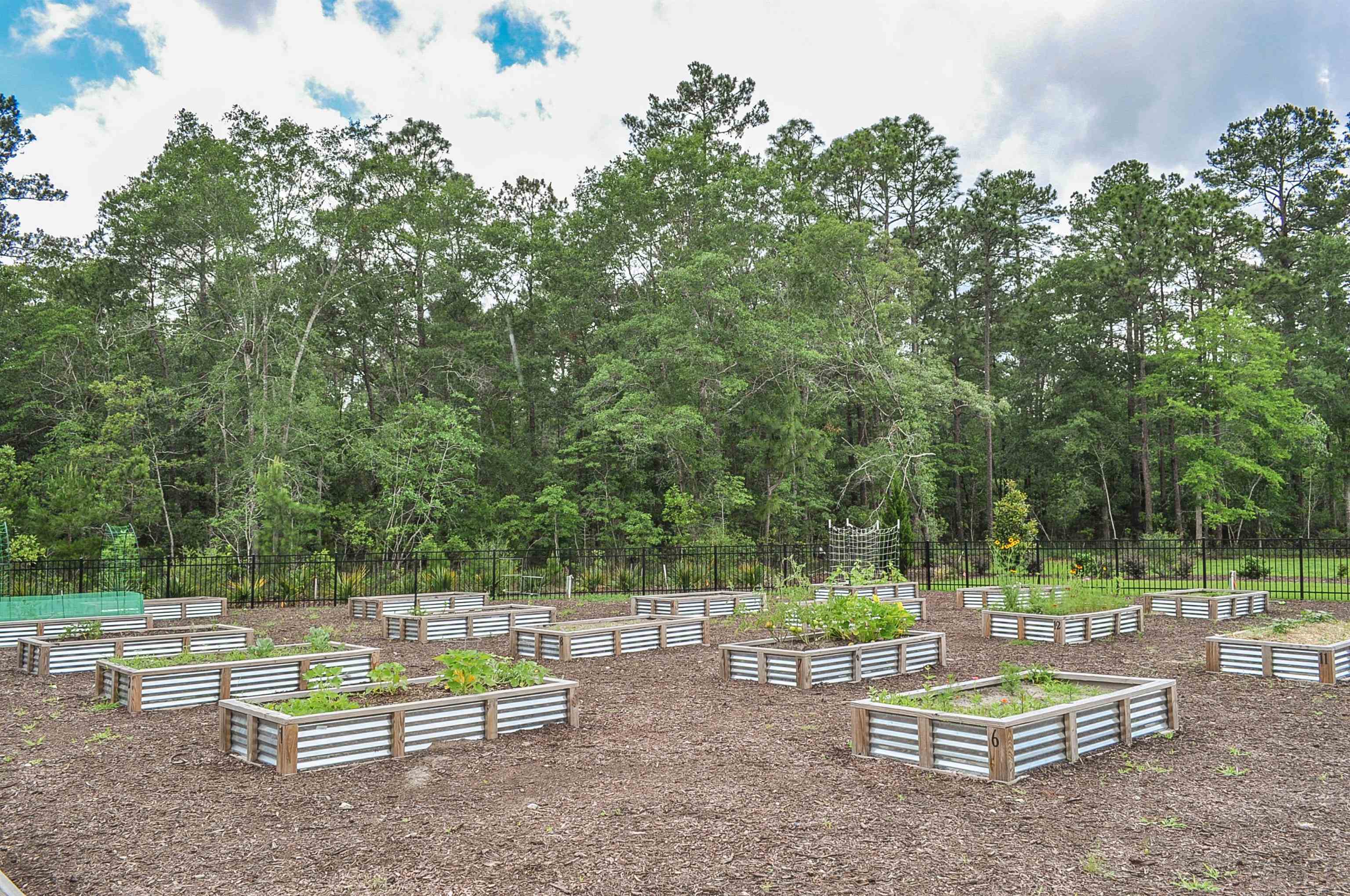 272 Warner Crossing Way Loris, SC 29569 - Photo 40 of 41