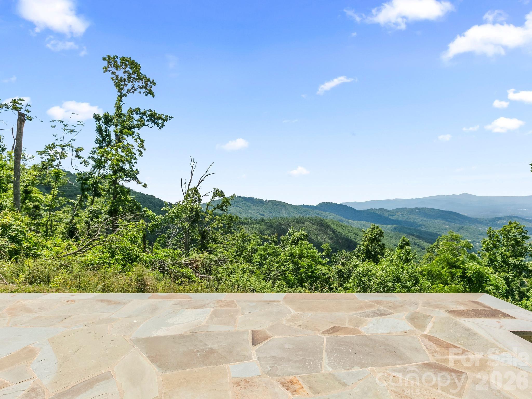 41 Windy Ridge Trail Asheville, NC 28804 - Photo 26 of 41