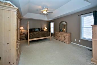 263 Arbor Crest Drive Ballwin, MO 63021 - Photo 28 of 42