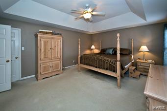 263 Arbor Crest Drive Ballwin, MO 63021 - Photo 29 of 42