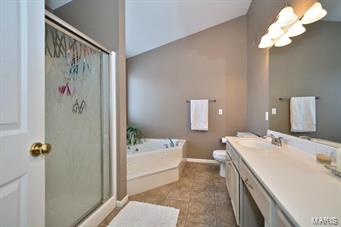 263 Arbor Crest Drive Ballwin, MO 63021 - Photo 30 of 42
