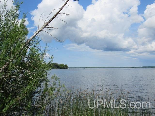 19110 West Diller Road Germfask, MI 49836 - Photo 4 of 28