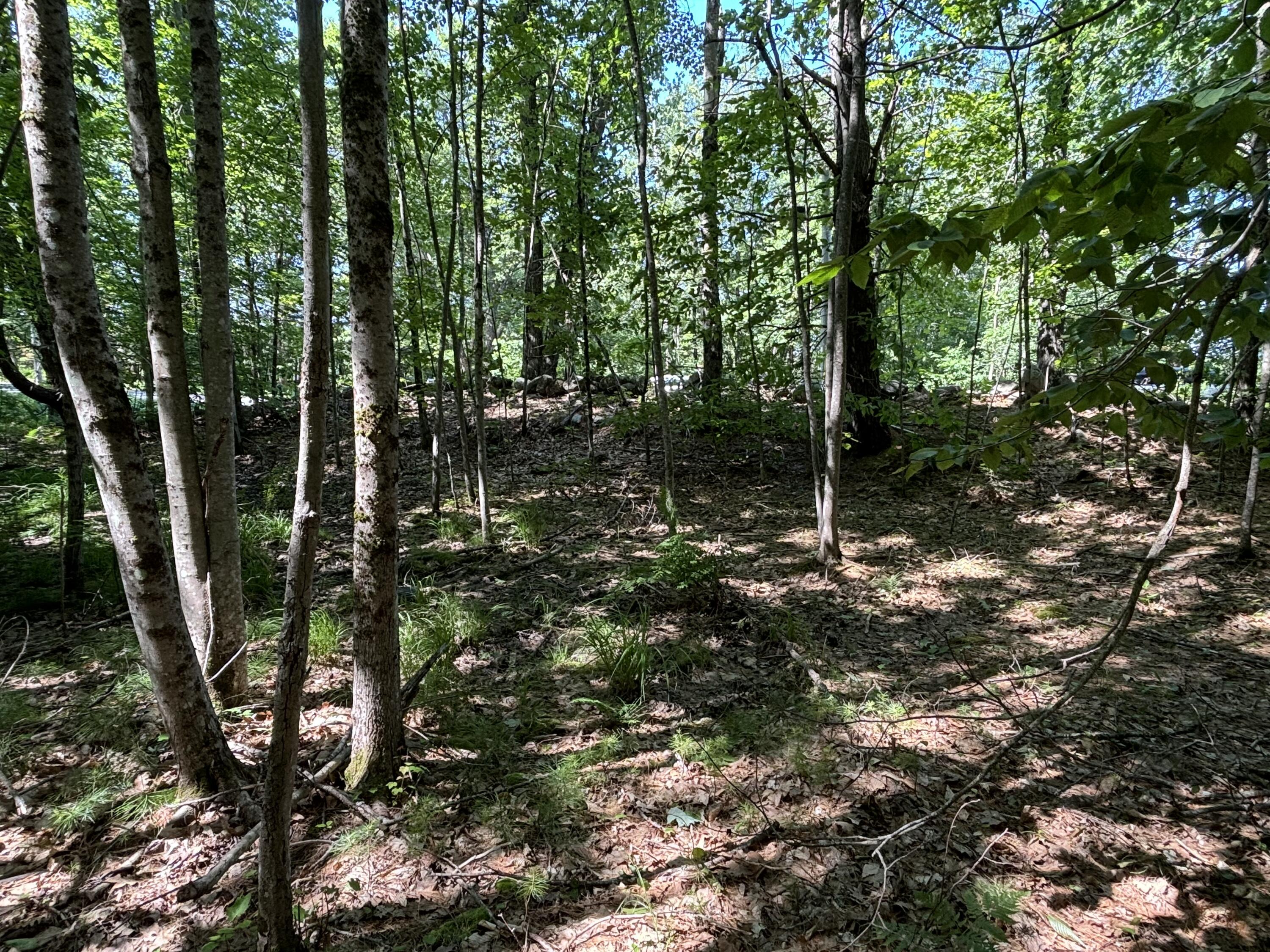 Lot 5 Naples Road Harrison, ME 04040 - Photo 5 of 7 IMG_1397