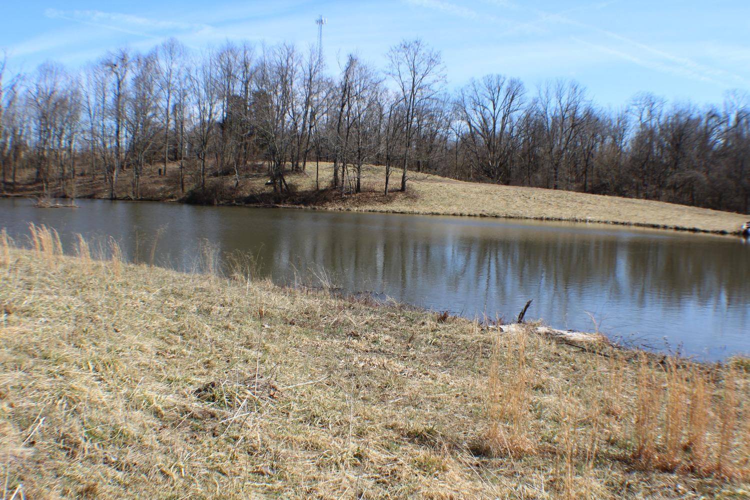 0 Fairview Road Vevay, IN 47043 - Photo 2 of 4