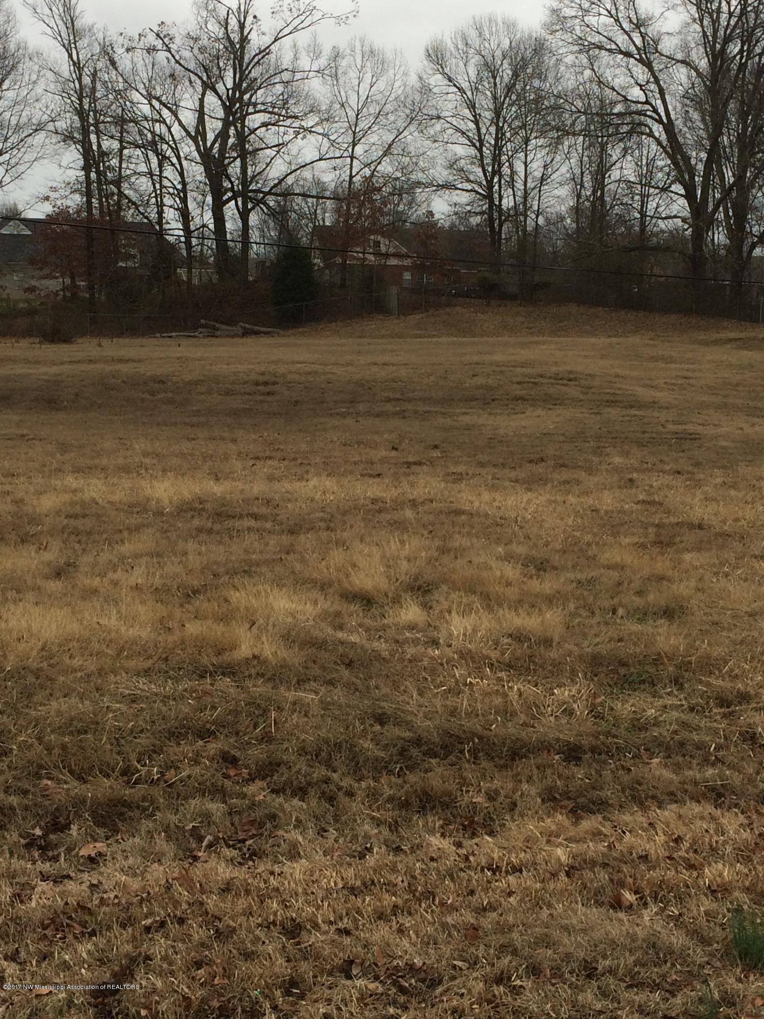 1152 Broady Road Nesbit, MS 38651 - Photo 1 of 3 IMG_0076.1