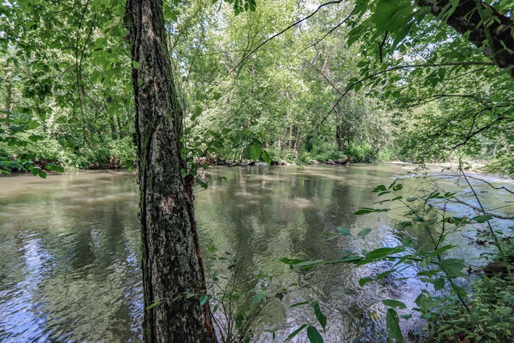 3 Wilton Springs Road Newport, TN 37821 - Photo 13 of 15 Gallery Image 13