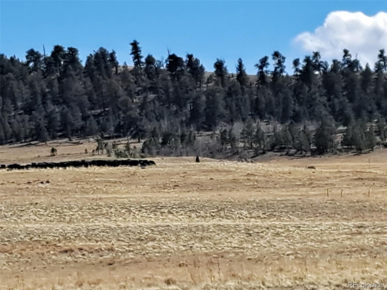 0 Cochiti Road Hartsel, CO 80449 - Photo 2 of 17 Gallery Image 2