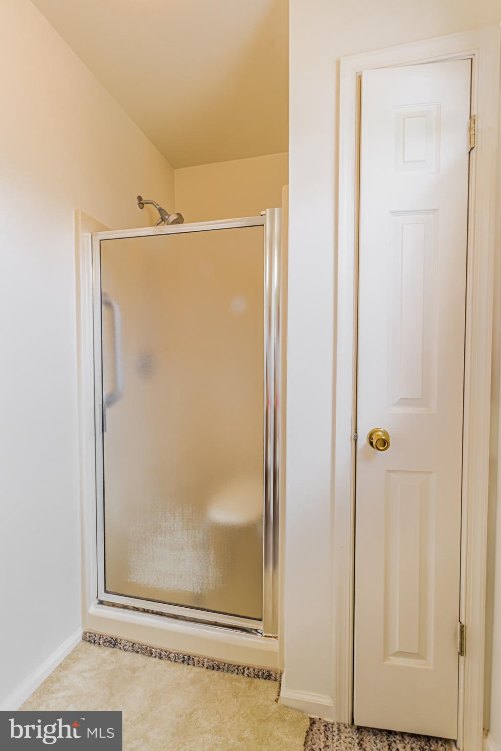 333 Copperfield Drive Williamstown, NJ 08094 - Photo 6 of 17 a bathroom with a glass shower door