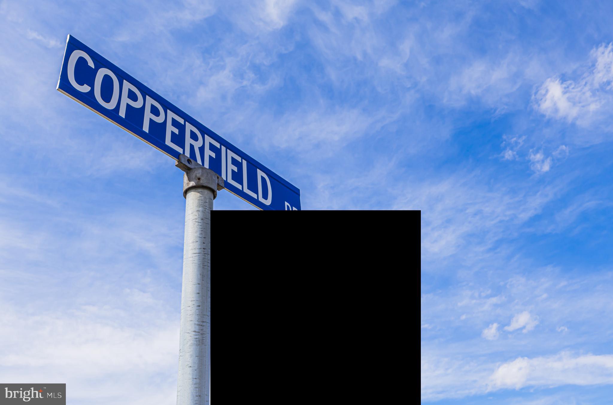 333 Copperfield Drive Williamstown, NJ 08094 - Photo 8 of 17