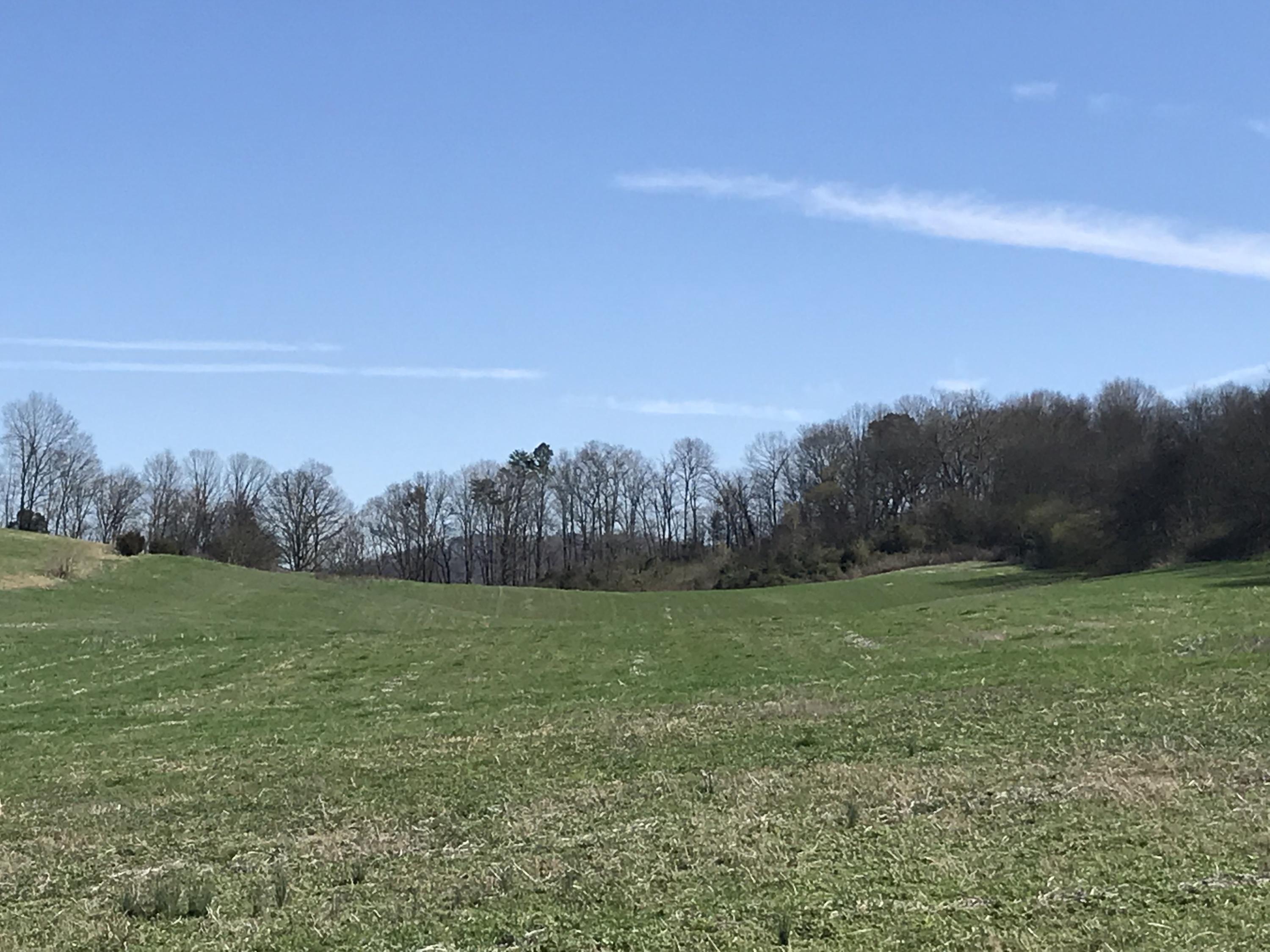 Lot 2 Holston View Road New Market, TN 37820 - Photo 1 of 4 Holston View 1
