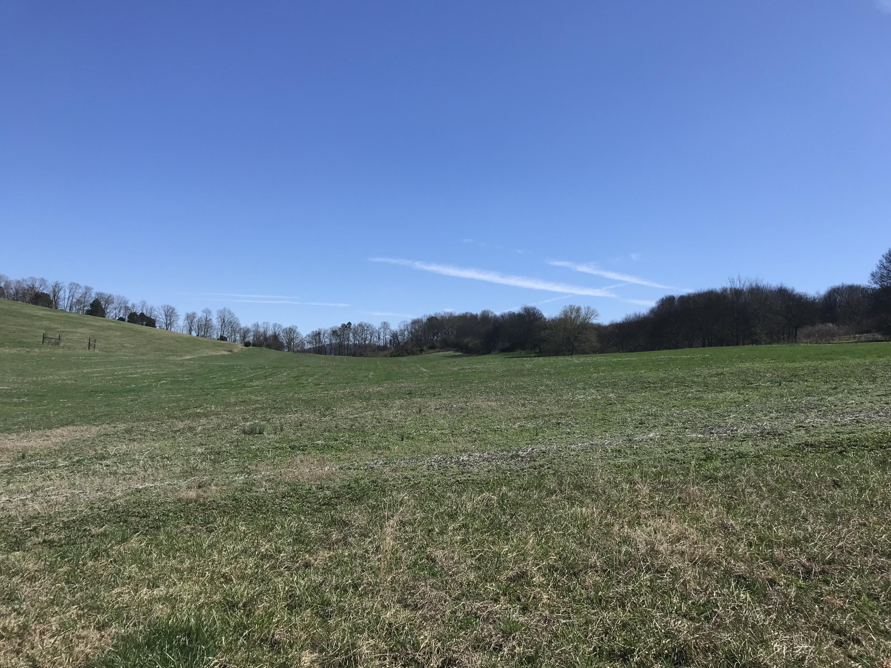 Lot 2 Holston View Road New Market, TN 37820 - Photo 2 of 4 Holston View 2
