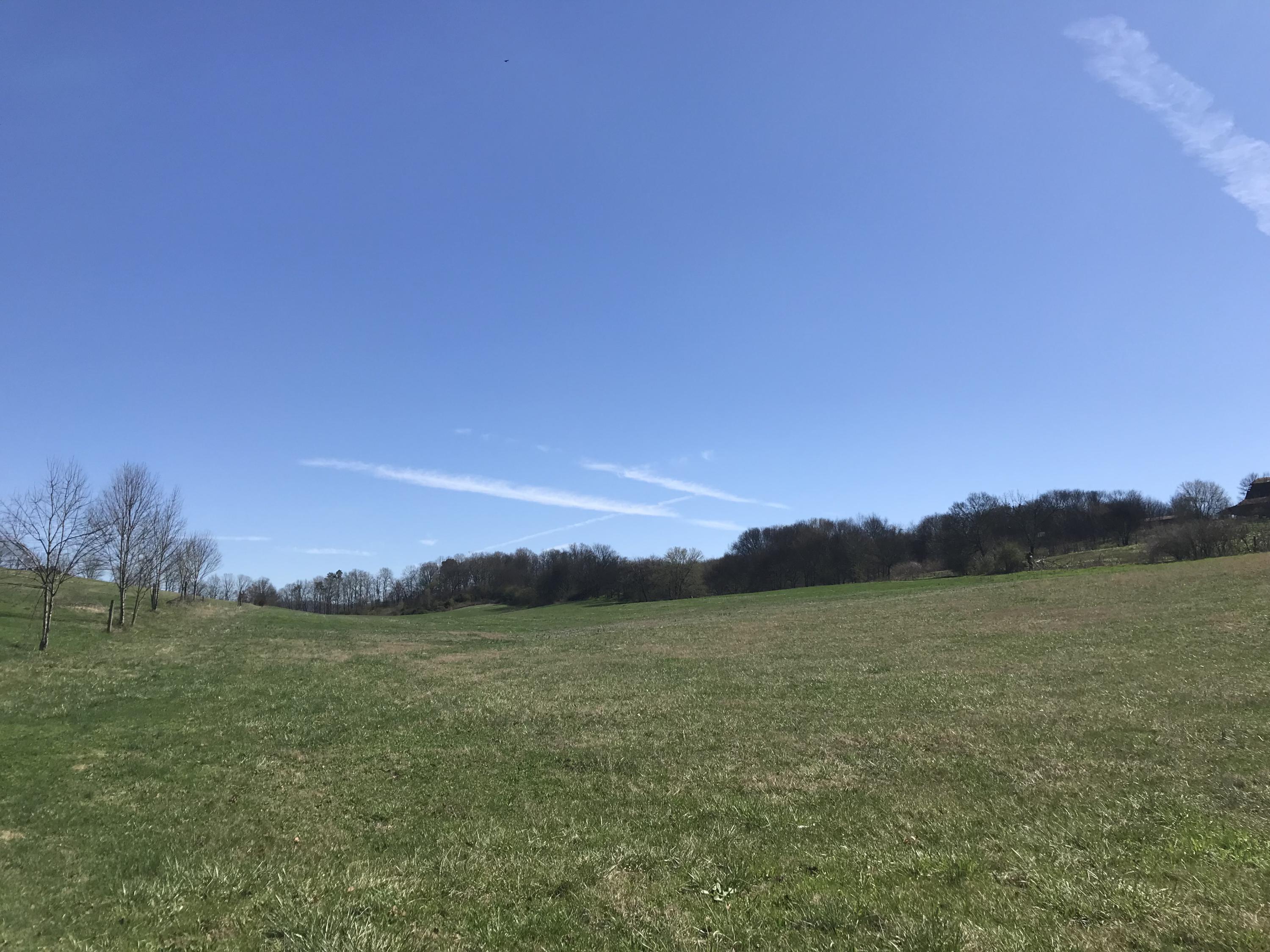 Lot 2 Holston View Road New Market, TN 37820 - Photo 3 of 4 Holston View 3