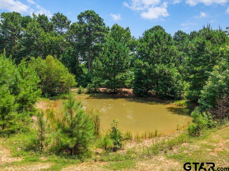 2226 Holly Road Gilmer, TX 75644 - Photo 10 of 43 Gallery Image 10