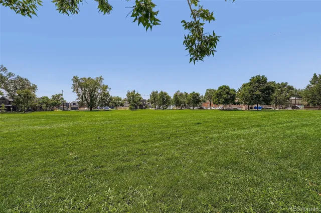 a view of grassy field with benches