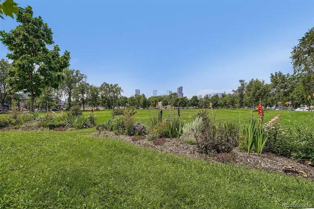 a view of a park with tree s