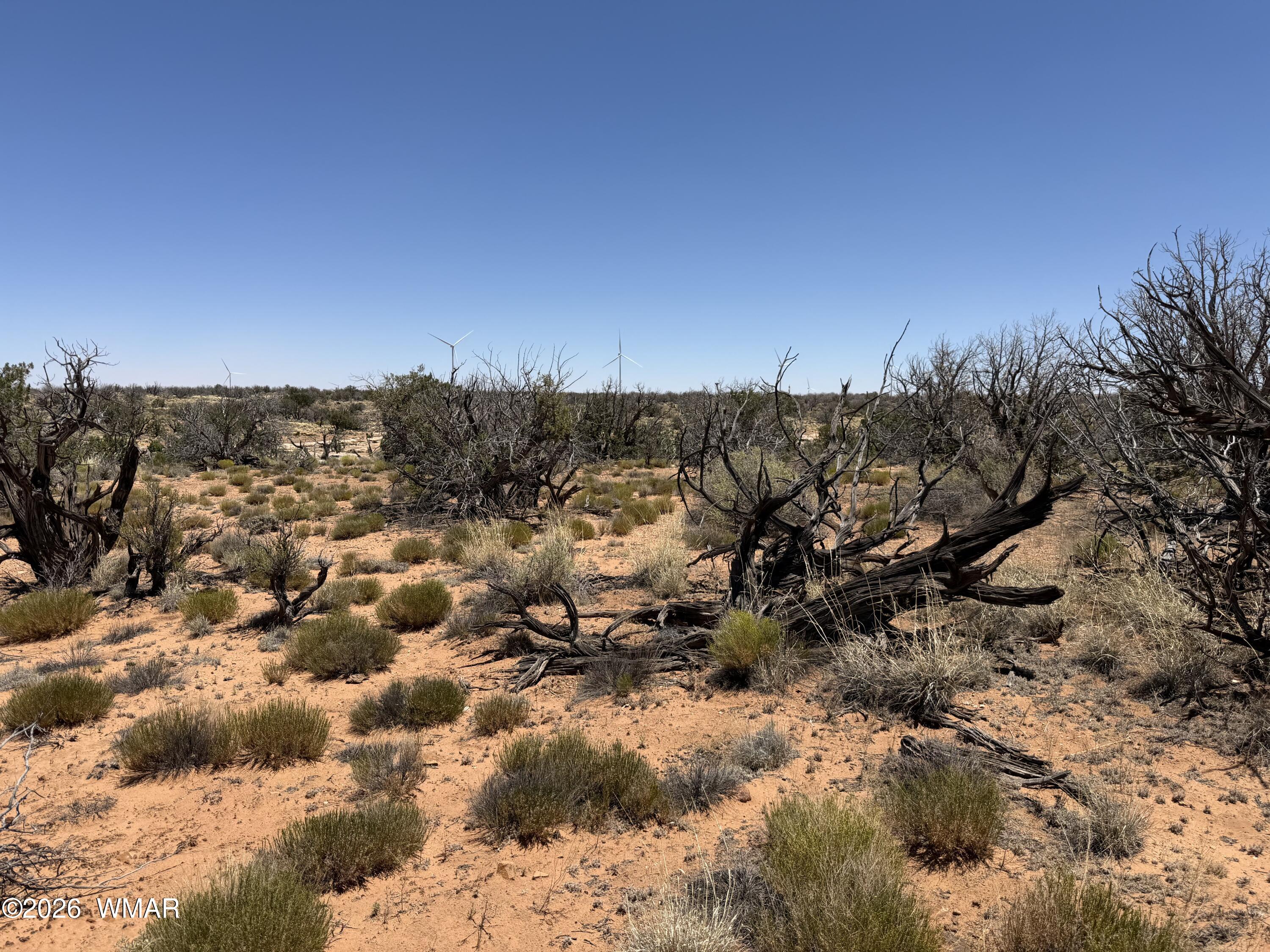 Lot 276 Chev Canyon Ranch, Unit 3 Overgaard, AZ 85933 - Photo 12 of 18