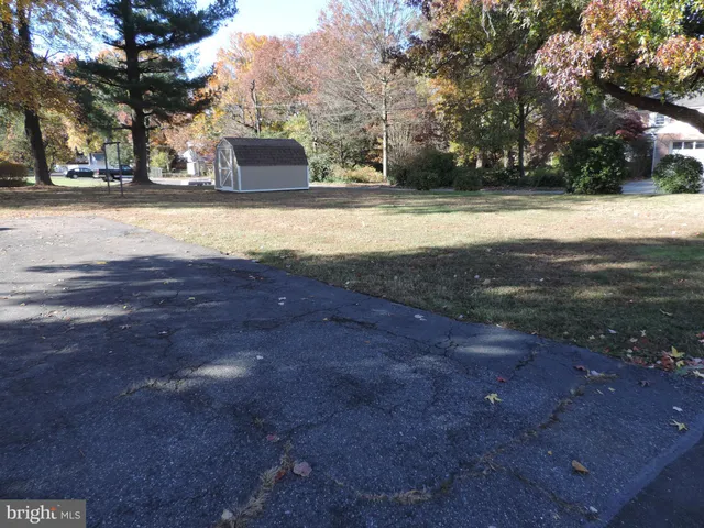 a view of a yard with a tree