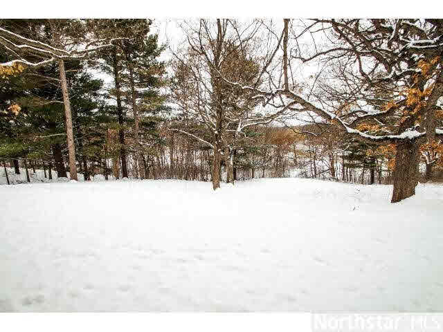 40 Mallard Road North Oaks, MN 55127 - Photo 15 of 18