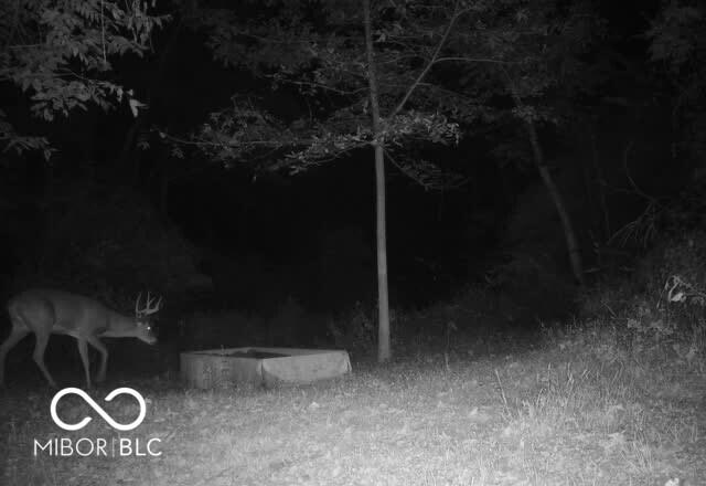 10372 Dugan Road Vevay, IN 47043 - Photo 33 of 79 Gallery Image 33