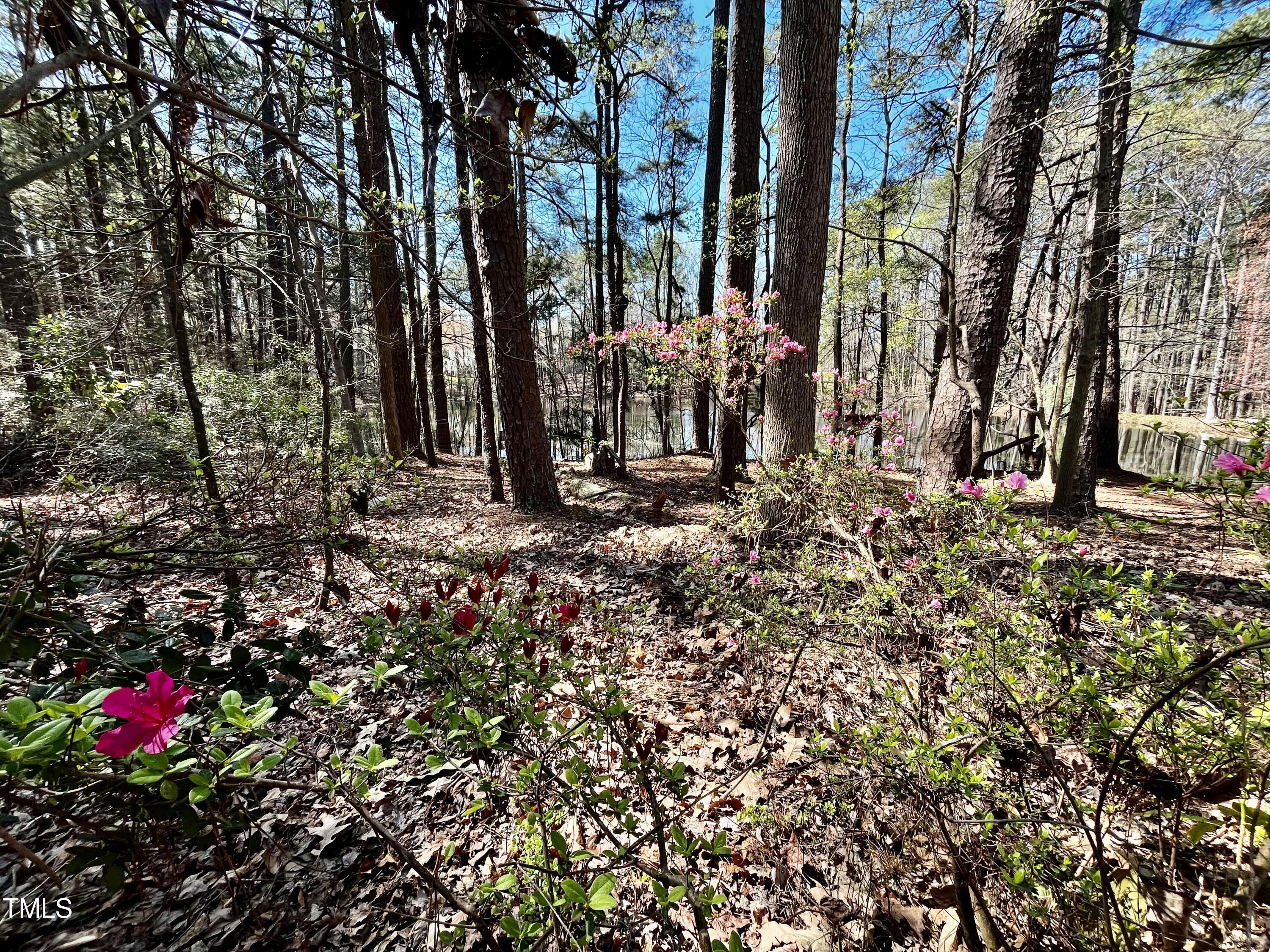 3111 Tanager Street Raleigh, NC 27606 - Photo 54 of 56 55-EndView