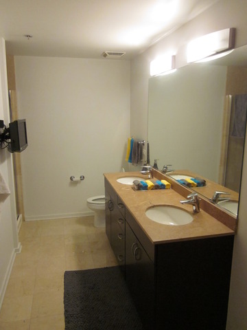 123 South Green Street, Unit 1204B Chicago, IL 60607 - Photo 11 of 13