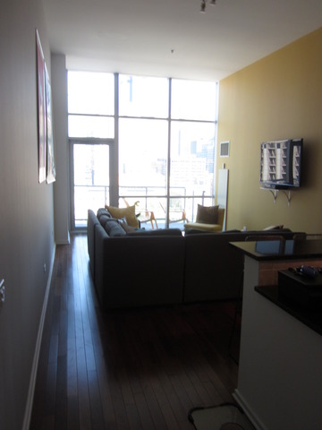 123 South Green Street, Unit 1204B Chicago, IL 60607 - Photo 3 of 13