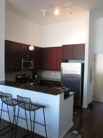 123 South Green Street, Unit 1204B Chicago, IL 60607 - Photo 5 of 13