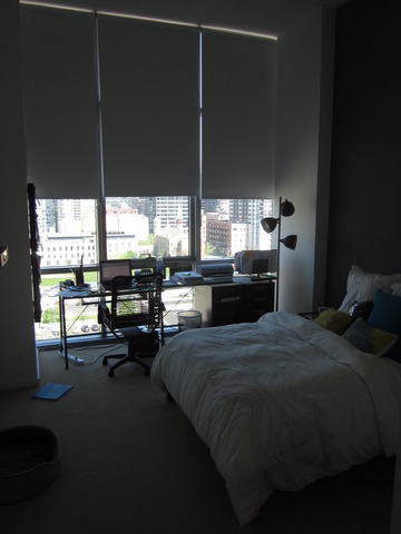 123 South Green Street, Unit 1204B Chicago, IL 60607 - Photo 7 of 13