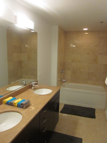 123 South Green Street, Unit 1204B Chicago, IL 60607 - Photo 10 of 13