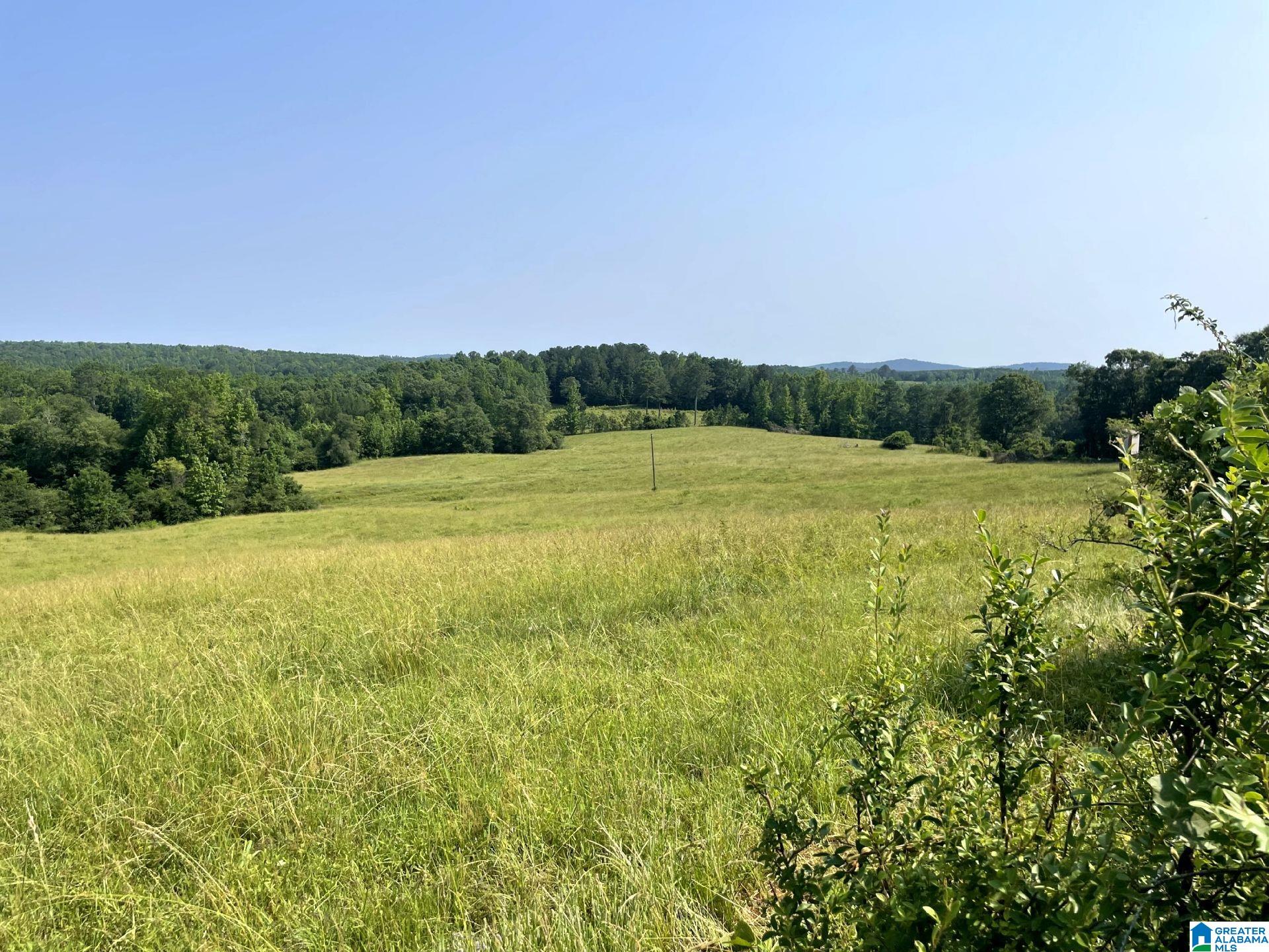 1500 Shiloh Church Road, Unit 81 95 ACRES Delta, AL 36258 - Photo 1 of 28