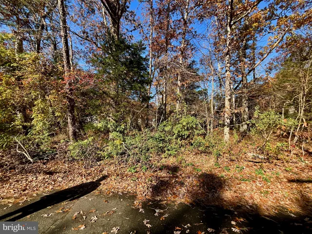 a view of a yard of a tree