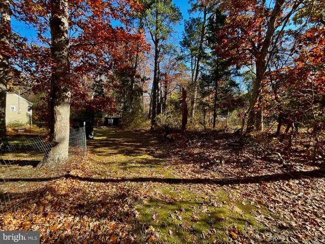 a view of a yard with trees