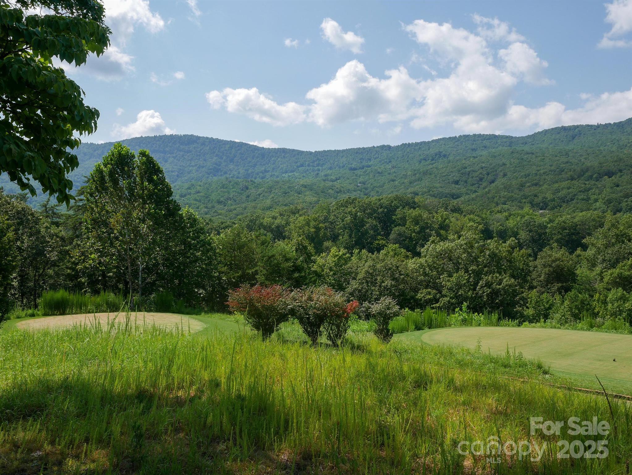 0 Deep Gap Rd Mill Spring East, Unit 59 Mill Spring, NC 28756 - Photo 18 of 25