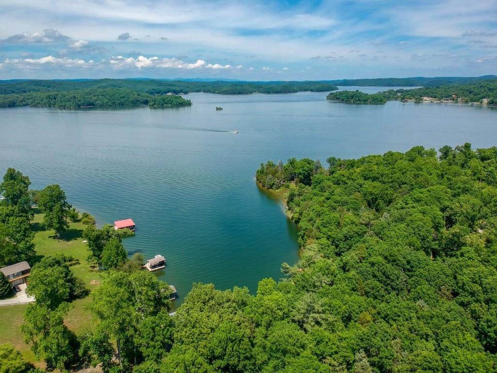 0 Blue Water Trail Spring City, TN 37381 - Photo 1 of 36 Gallery Image 1