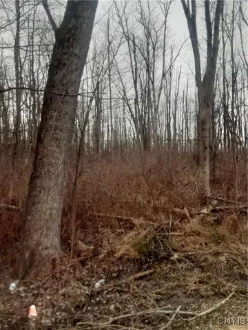 $20,000 | Undisclosed Address, Lenox, NY 13032