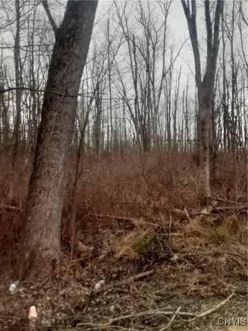 $20,000 | Undisclosed Address, Lenox, NY 13032