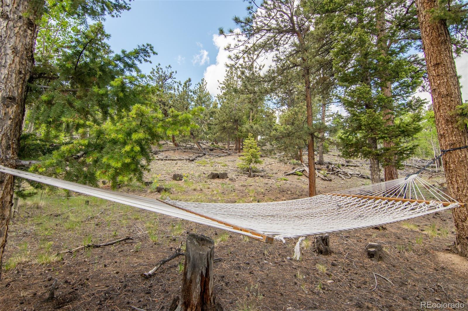 1620 Bellows Road Hartsel, CO 80449 - Photo 12 of 40 Gallery Image 12