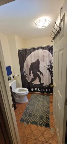 a bathroom with a sink mirror vanity and toilet