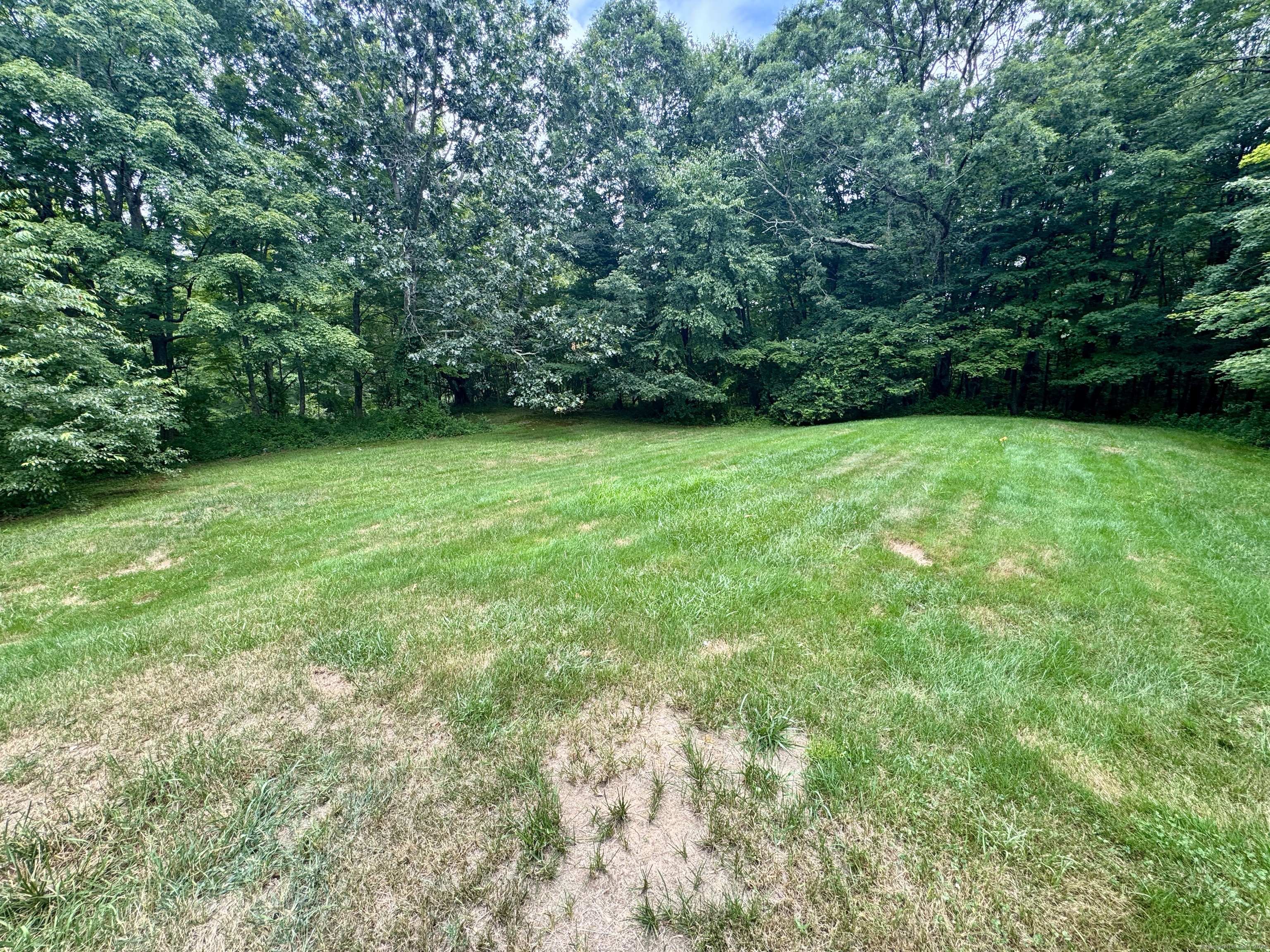 108 Webb Circle Monroe, CT 06468 - Photo 24 of 24 a view of a yard with a trees