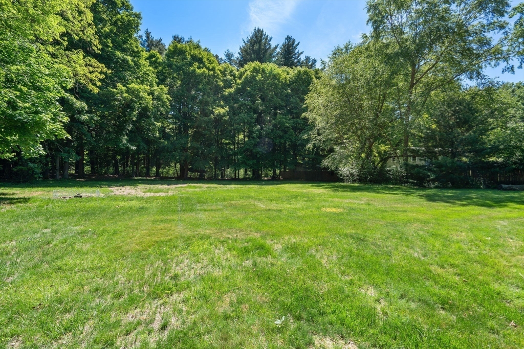 2035 Parker Street Springfield, MA 01128 - Photo 39 of 42 a view of a grassy field with trees in the background